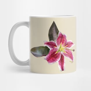 Lilies - One Stargazer Lily Mug